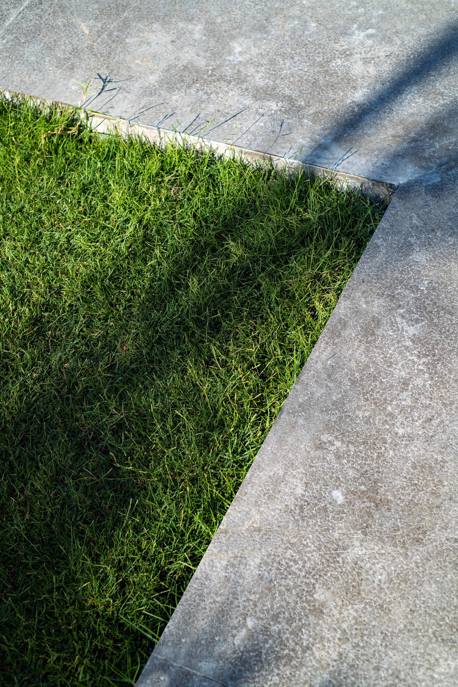 Detail: grass meeting paving in hard sun.