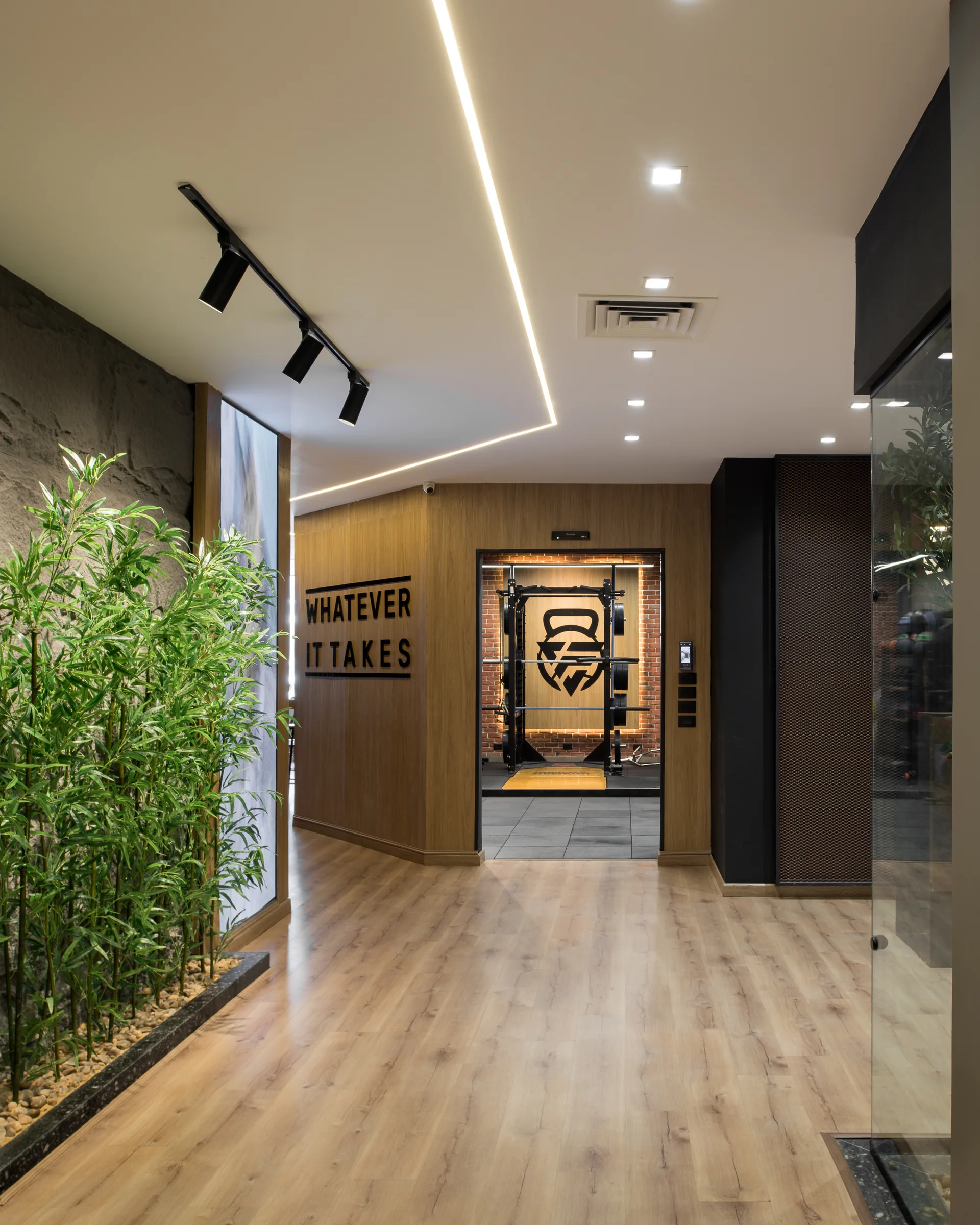 Corridor to the studios, bamboo planting along the glass.