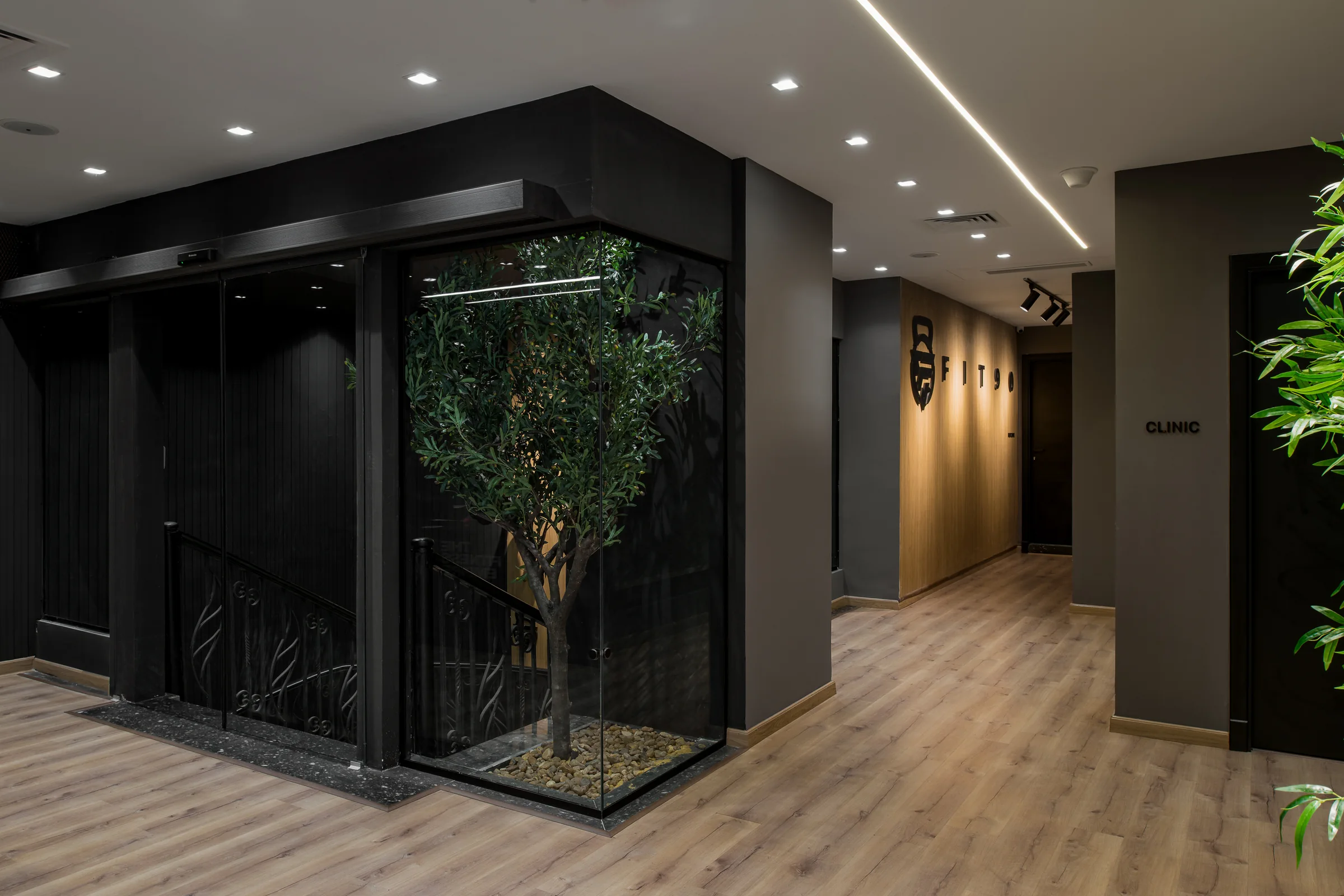 Stair void with an olive tree behind full-height glazing.