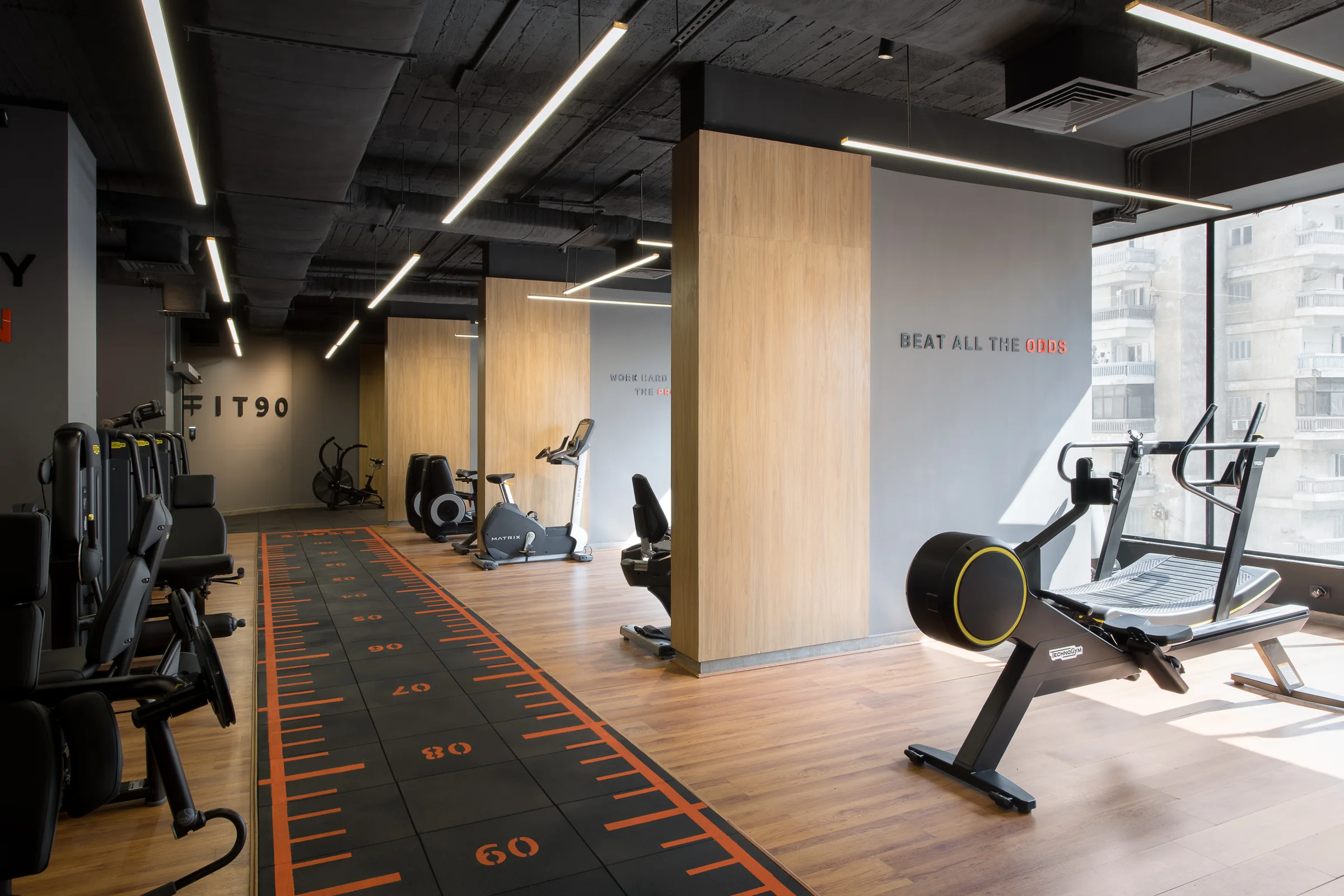 Resistance machines and a rowing station under linear lighting.