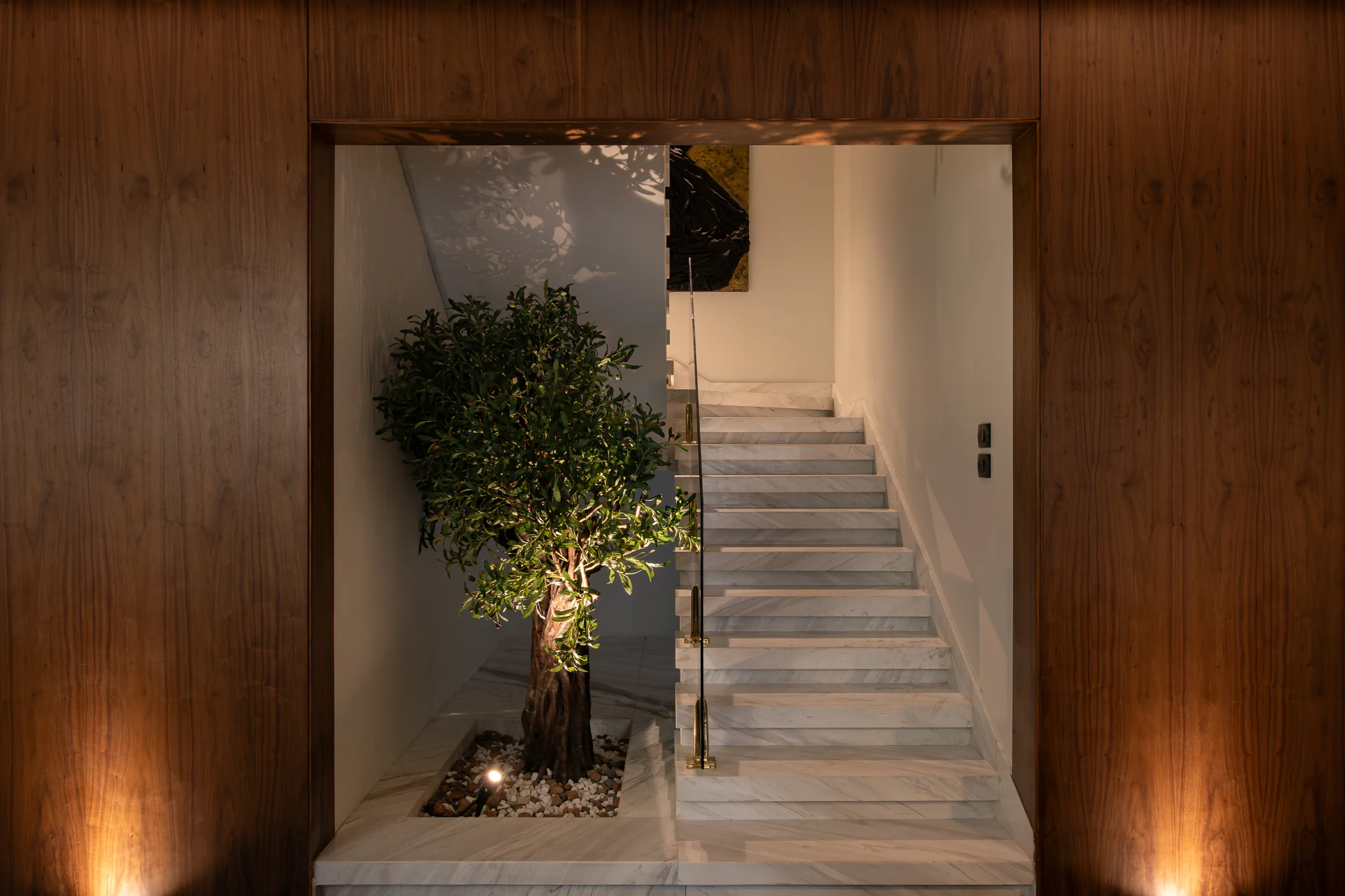 The stair void seen through walnut portals, olive tree lit from below.