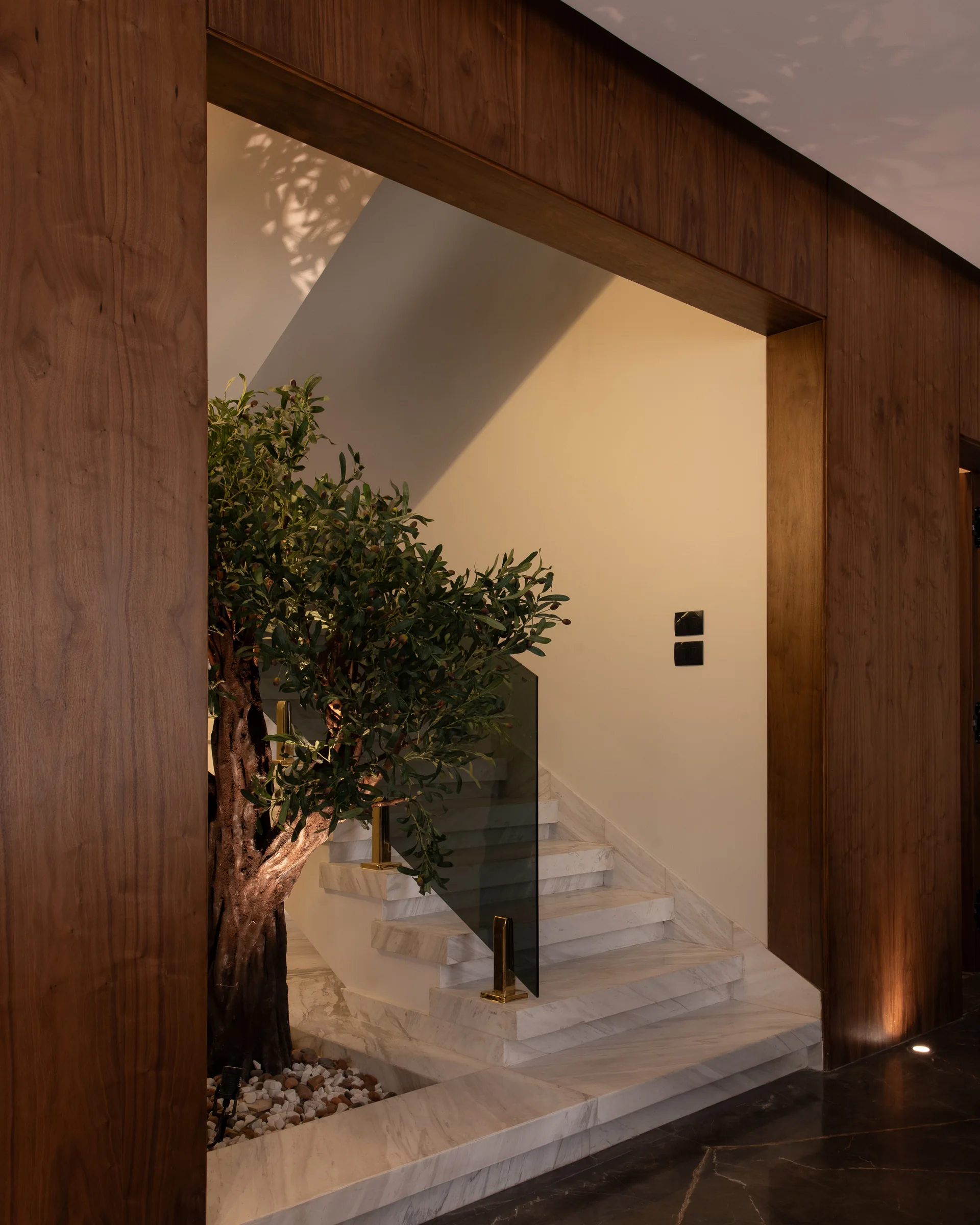 Olive tree and travertine stair framed by a timber opening.