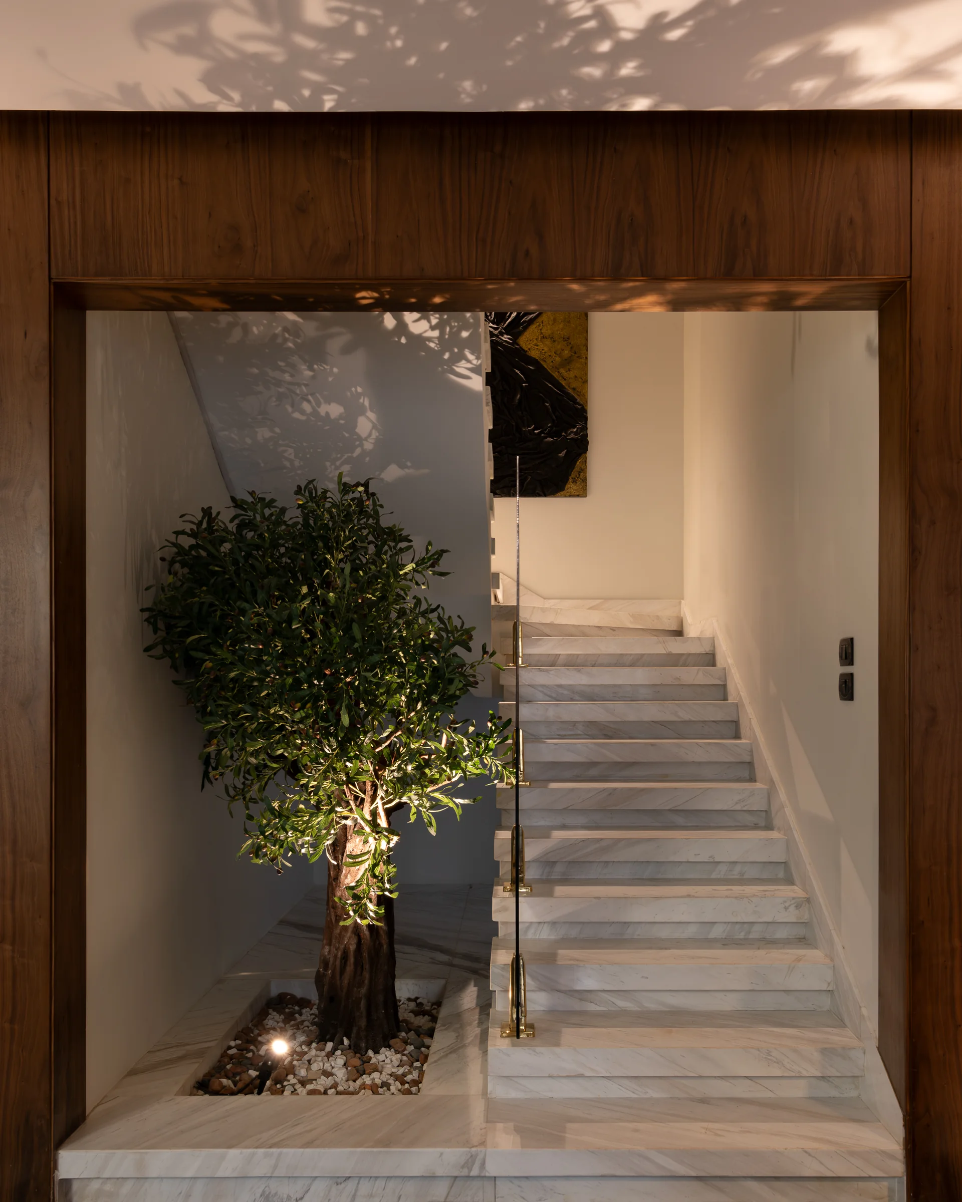 Stair and olive tree framed tight by the timber opening.