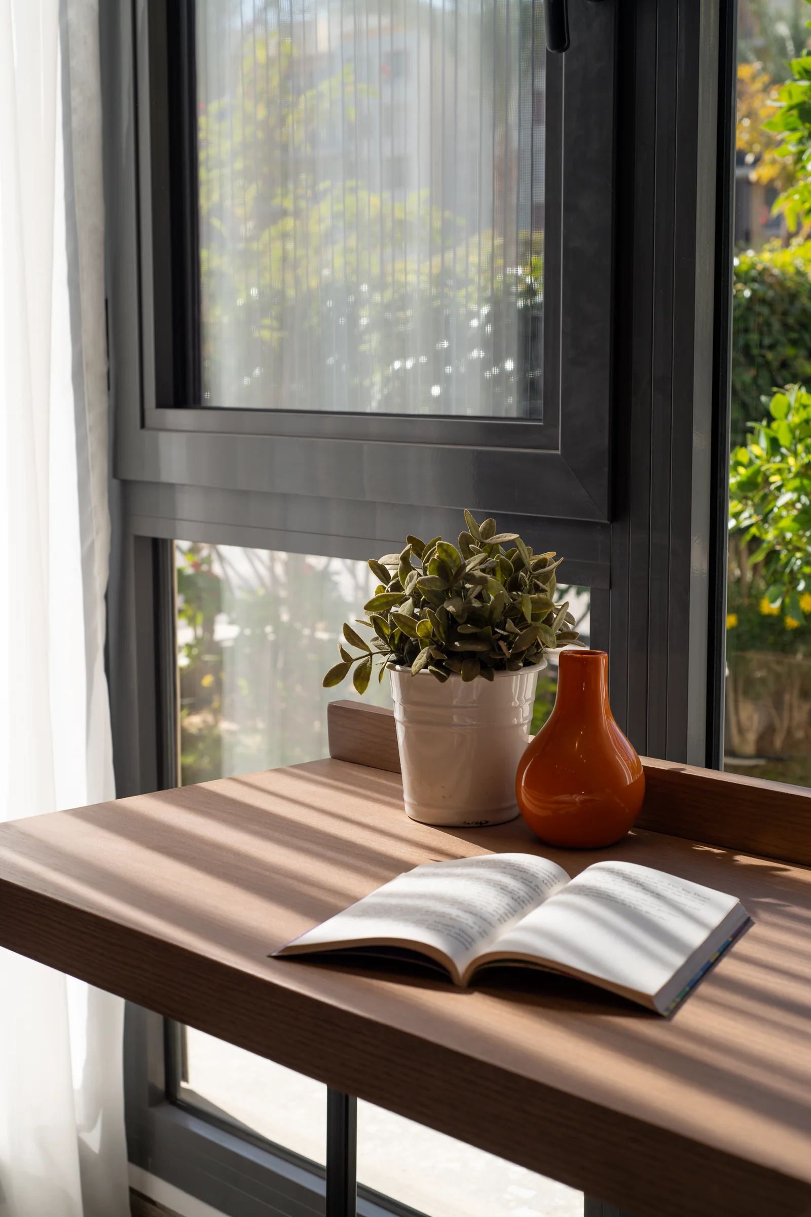 Desk detail: book, plant and the window frame.
