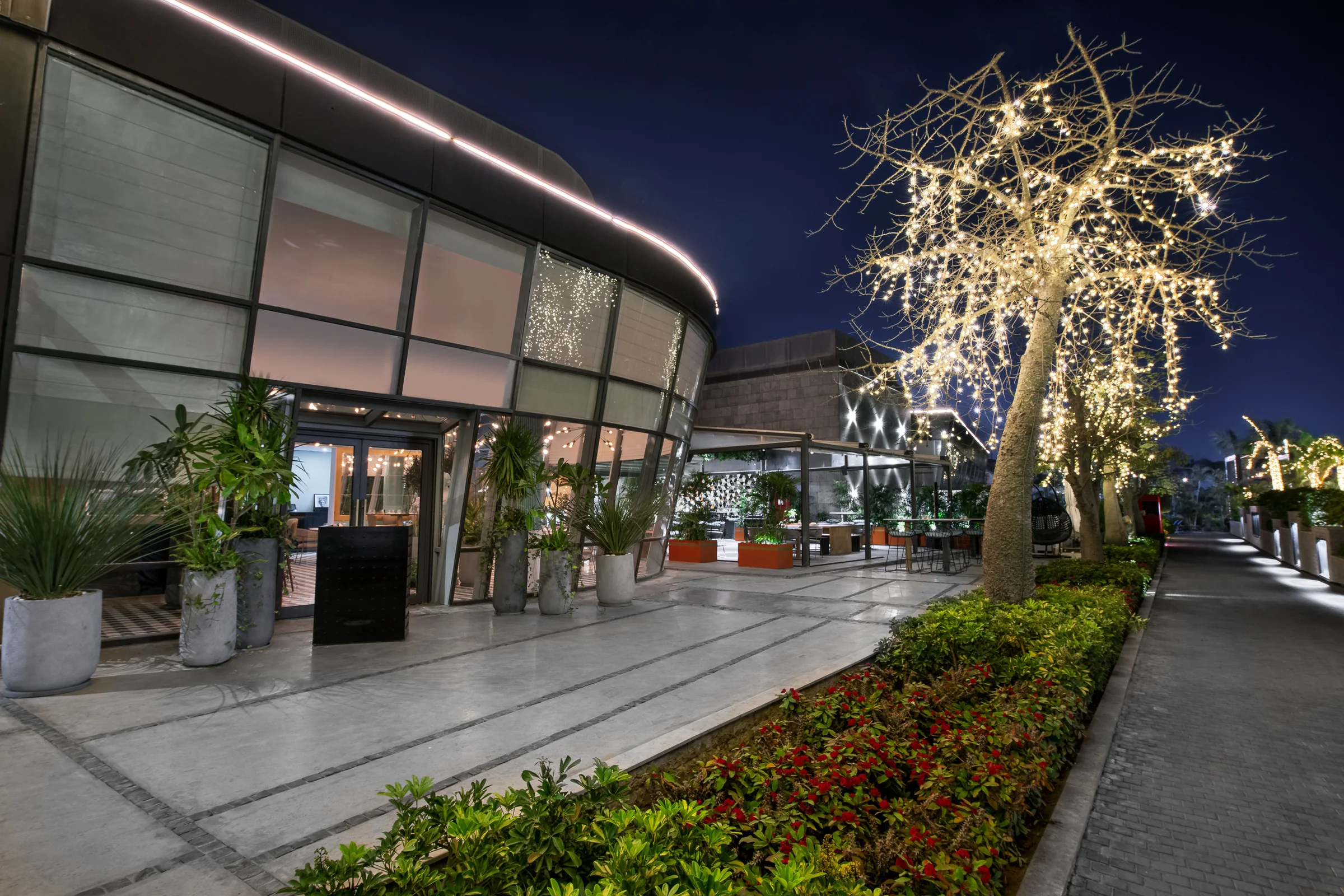 The restaurant at night from the walk, a lit tree beside the entrance.