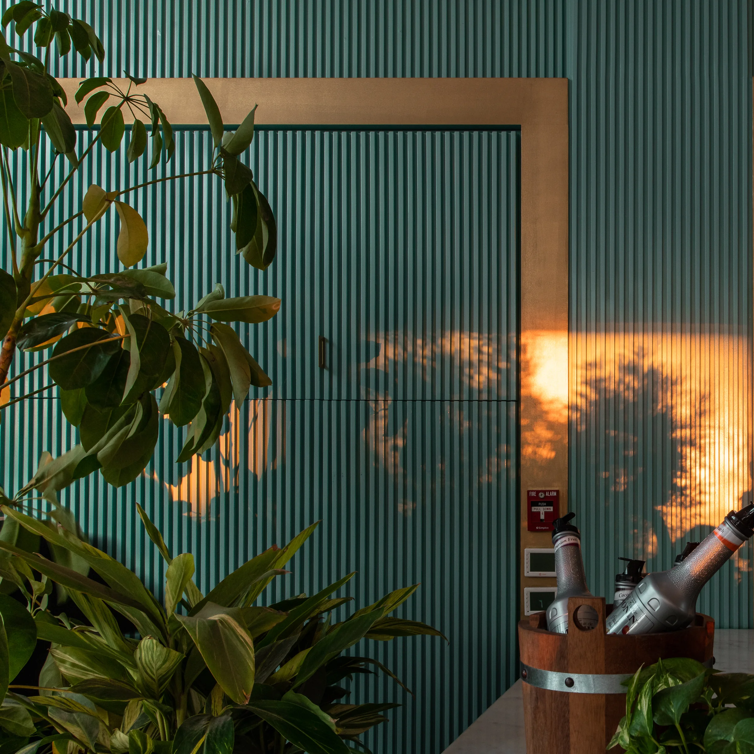 Detail: greenery and glassware against the ribbed wall.